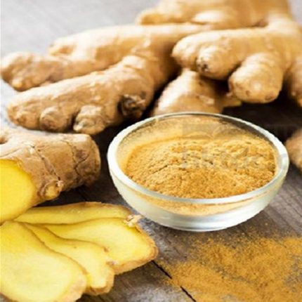 Organic Ginger Extract Powder