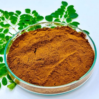 Moringa Leaf Extract Powder