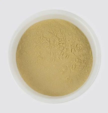 Organic Boswella Serrata Extract Powder