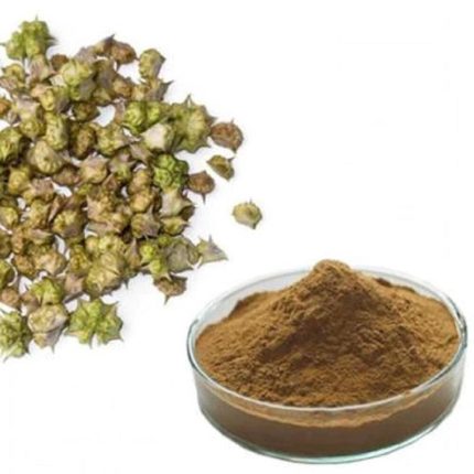 Gokhru Extract Powder