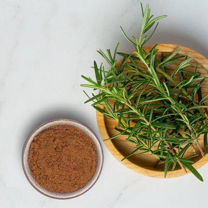 Rosemary Extract Powder