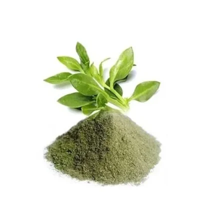 Kalmegh Extract