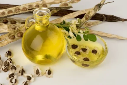 Organic Mornga Seed Oil