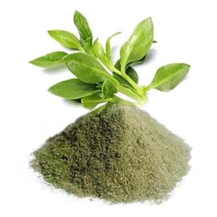 Organic Kalmegh Andrographis penniculata Powder